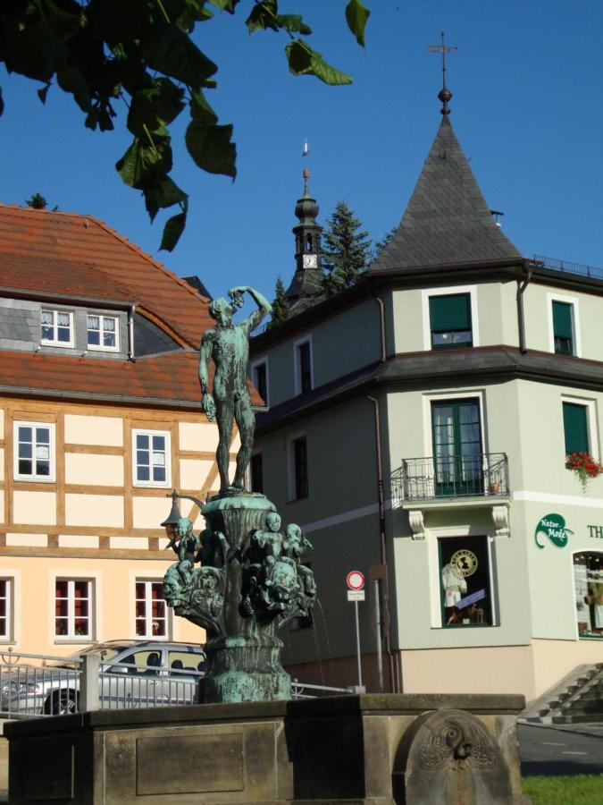 Gasthof Hillig Bad Gottleuba Exterior foto